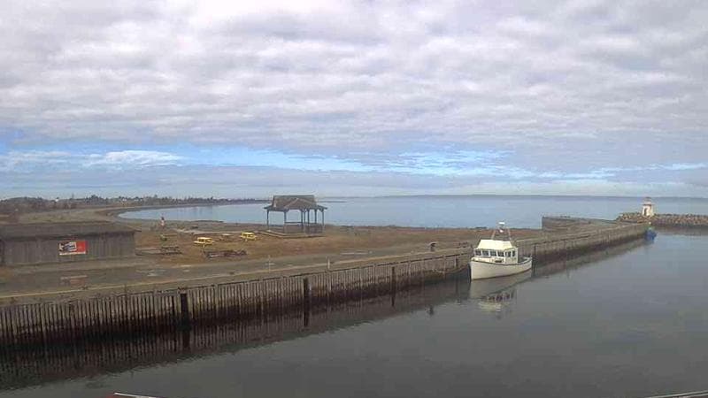 Belliveau Cove Harbour