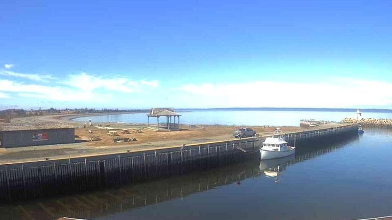 Belliveau Cove Harbour