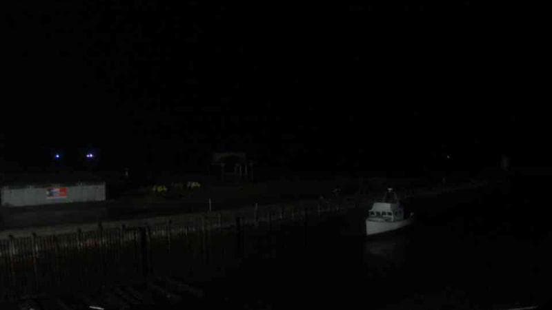 Belliveau Cove Harbour