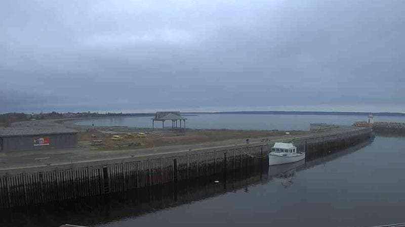 Belliveau Cove Harbour