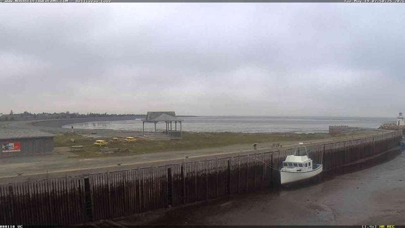 Belliveau Cove Harbour