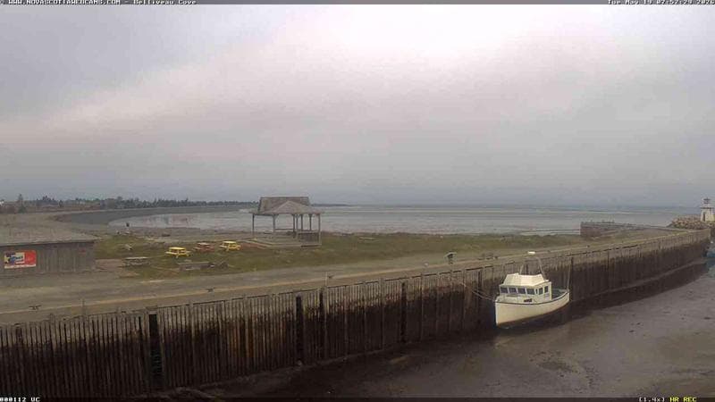Belliveau Cove Harbour