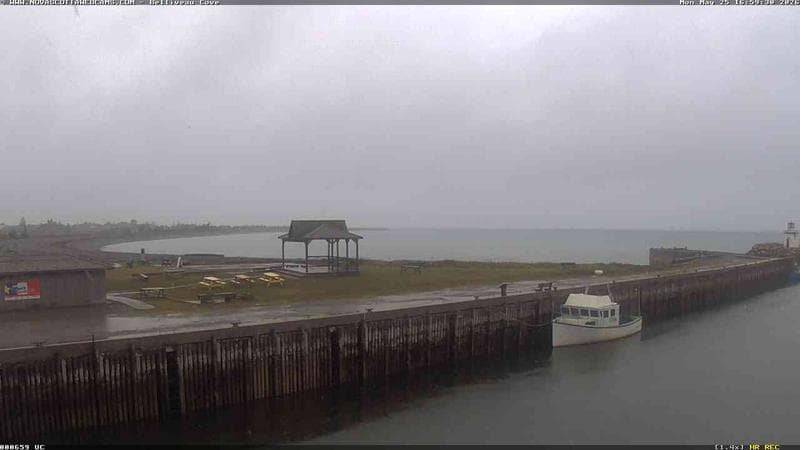 Belliveau Cove Harbour
