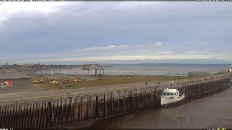 Belliveau Cove Harbour