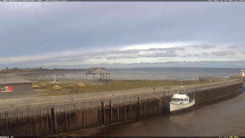 Belliveau Cove Harbour