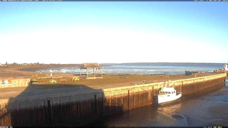 Belliveau Cove Harbour