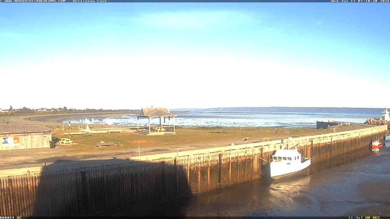 Belliveau Cove Harbour