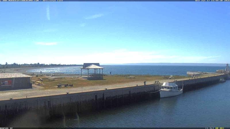 Belliveau Cove Harbour