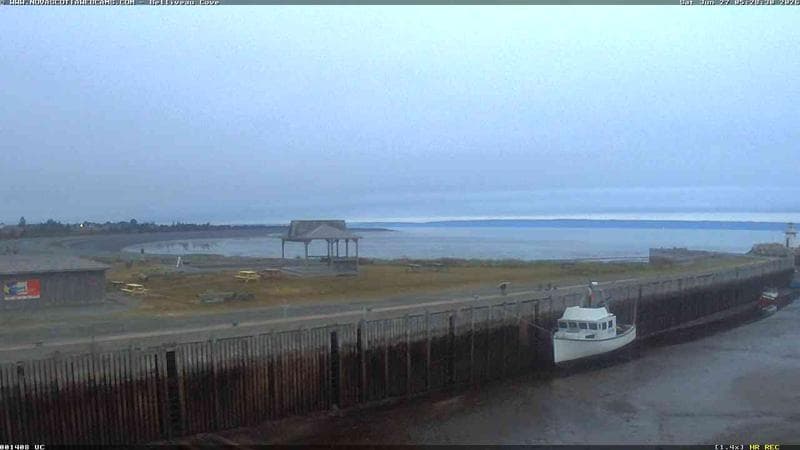 Belliveau Cove Harbour