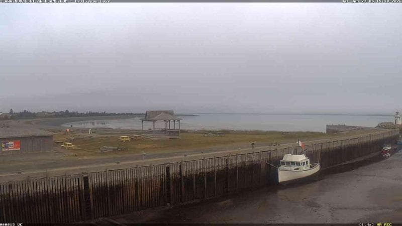 Belliveau Cove Harbour