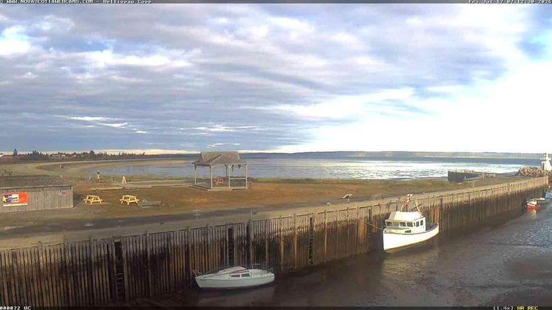 Belliveau Cove Harbour