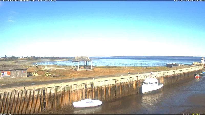 Belliveau Cove Harbour