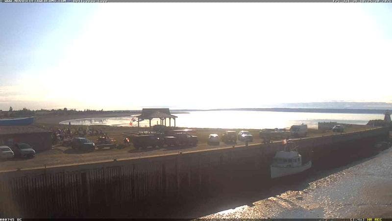 Belliveau Cove Harbour
