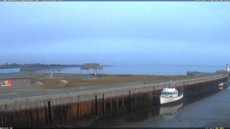 Belliveau Cove Harbour