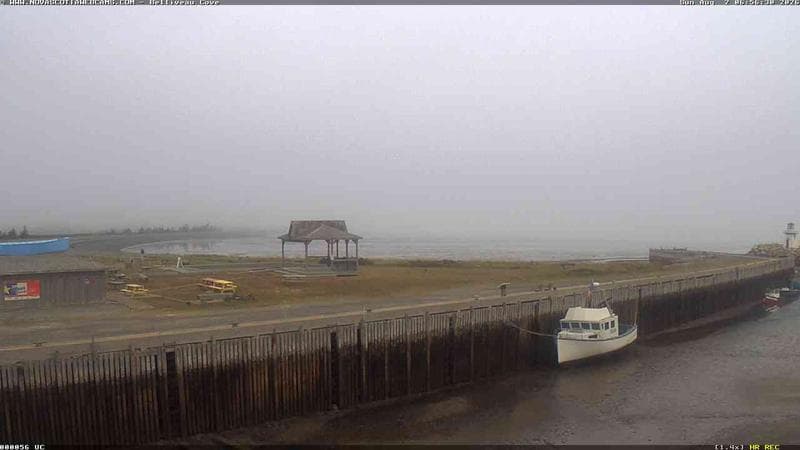 Belliveau Cove Harbour