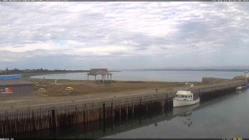 Belliveau Cove Harbour
