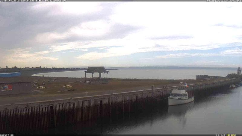 Belliveau Cove Harbour