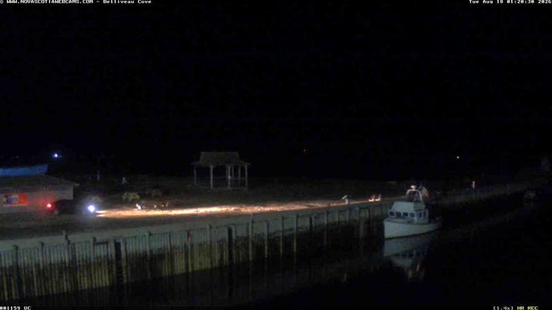 Belliveau Cove Harbour
