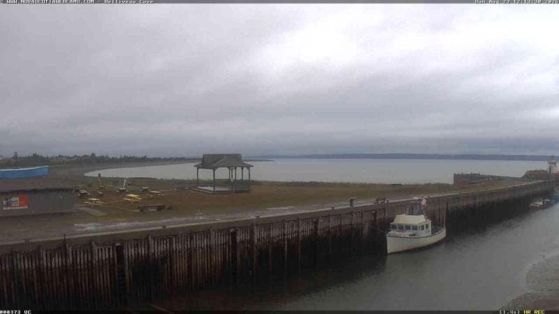 Belliveau Cove Harbour