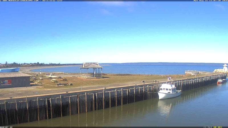 Belliveau Cove Harbour