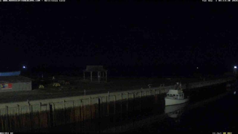 Belliveau Cove Harbour
