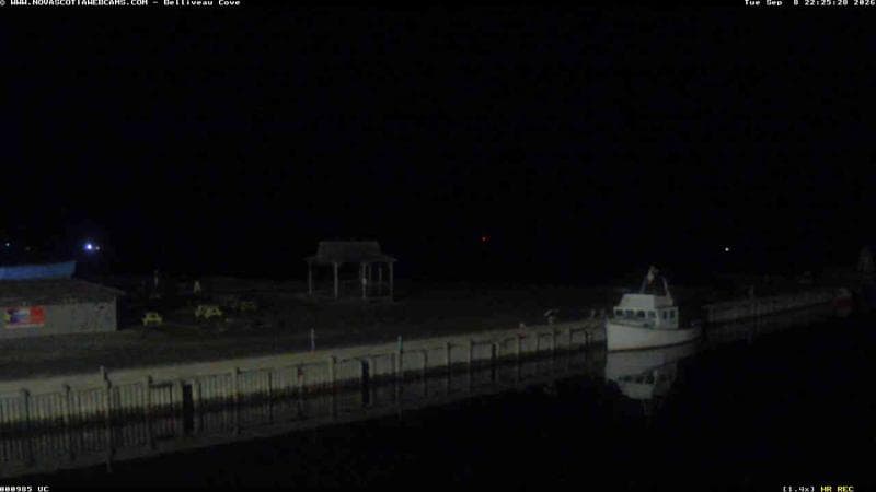 Belliveau Cove Harbour