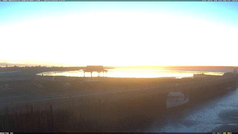 Belliveau Cove Harbour