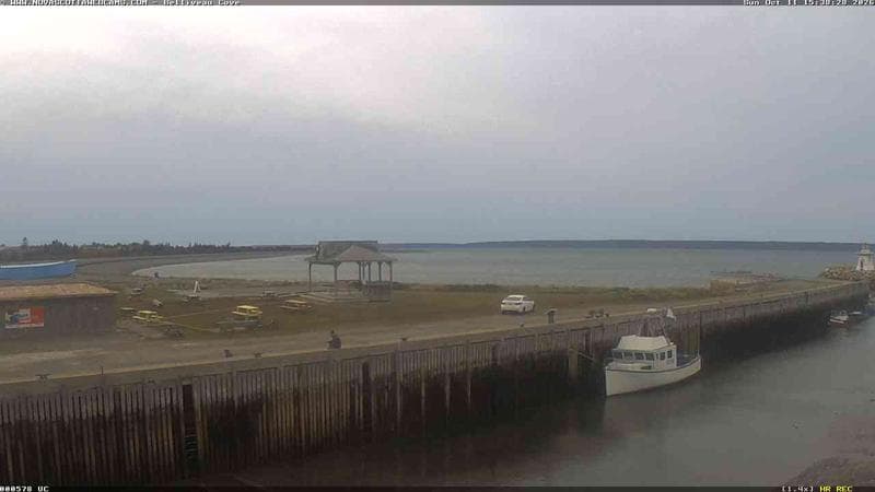 Belliveau Cove Harbour