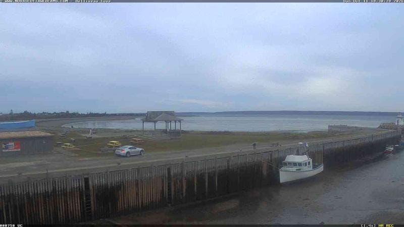 Belliveau Cove Harbour