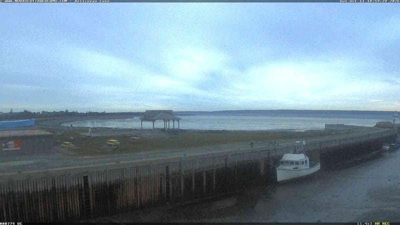 Belliveau Cove Harbour