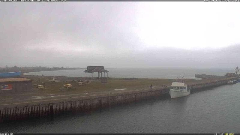 Belliveau Cove Harbour