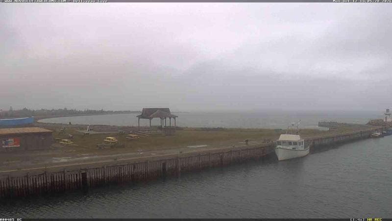 Belliveau Cove Harbour