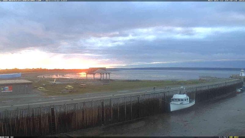 Belliveau Cove Harbour