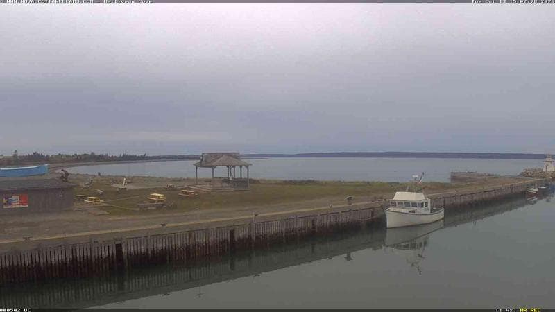 Belliveau Cove Harbour