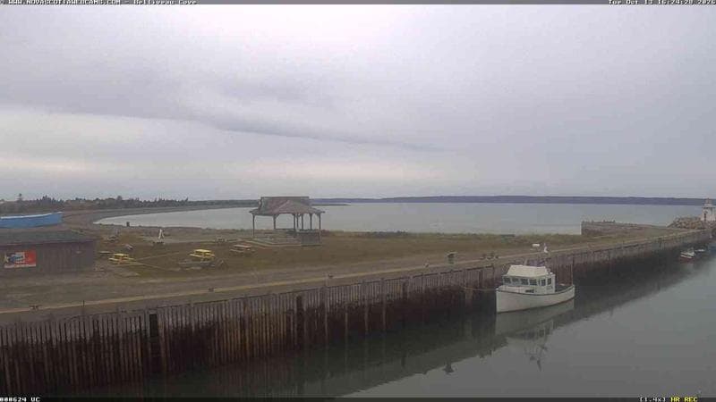 Belliveau Cove Harbour