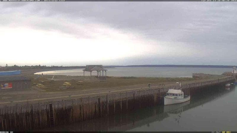 Belliveau Cove Harbour