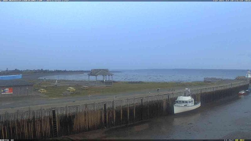 Belliveau Cove Harbour