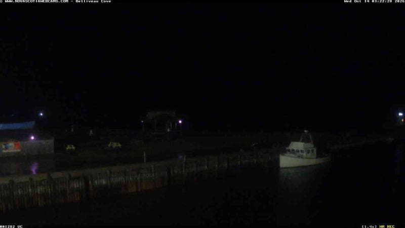 Belliveau Cove Harbour
