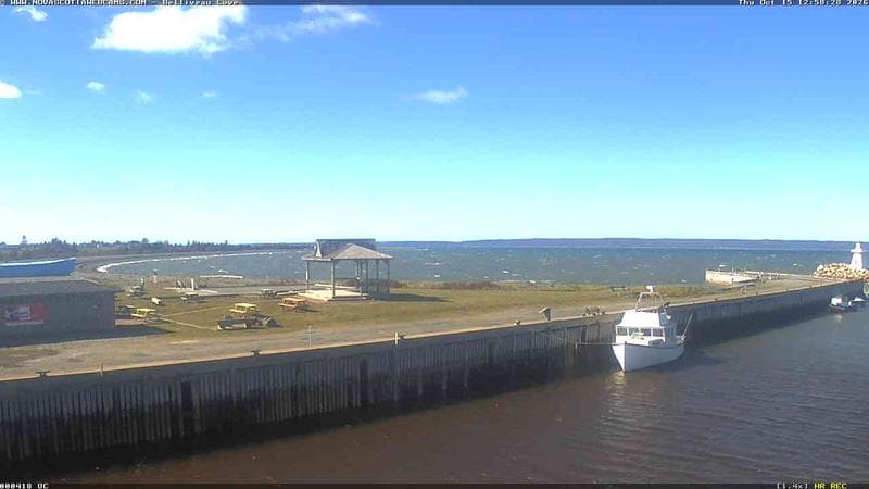 Belliveau Cove Harbour