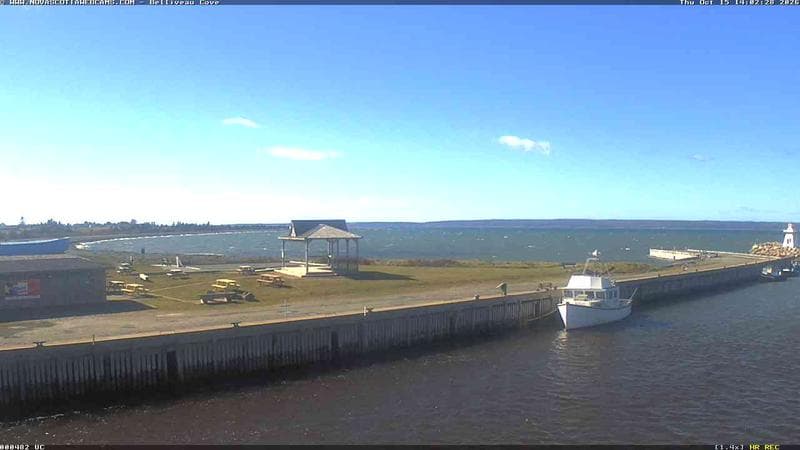Belliveau Cove Harbour