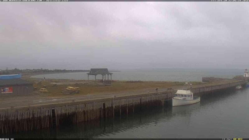 Belliveau Cove Harbour