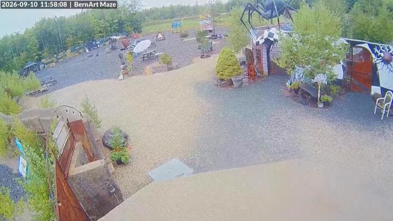 Bernart Art Maze