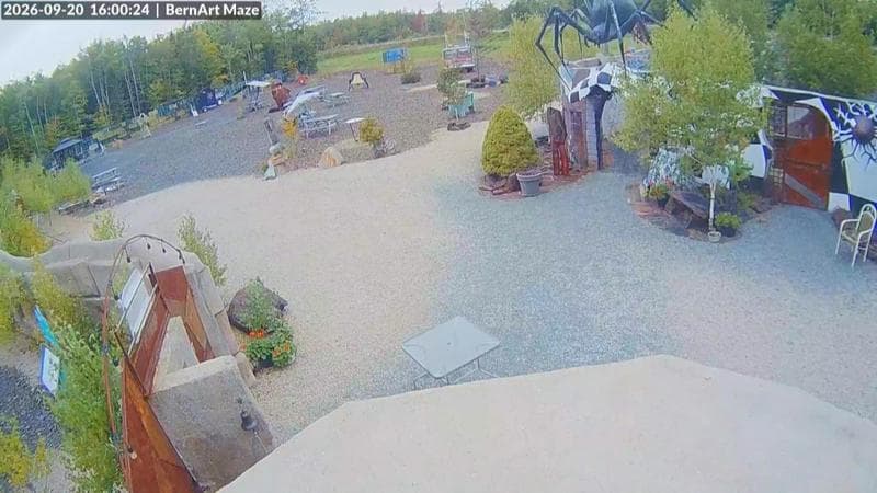 Bernart Art Maze