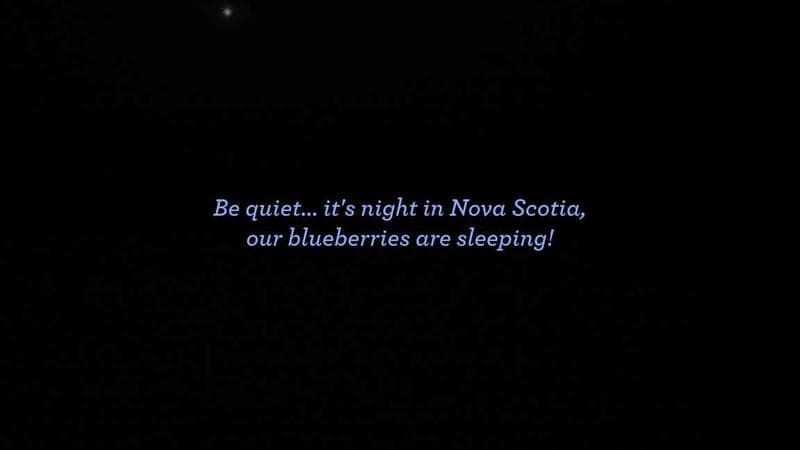 Wild Blueberry Cam 1