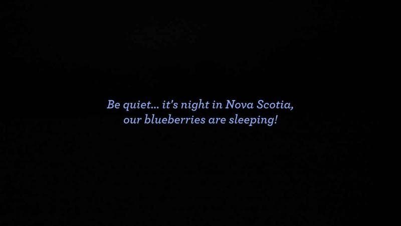 Wild Blueberry Cam 1