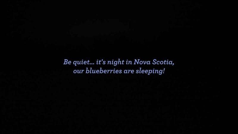 Wild Blueberry Cam 1