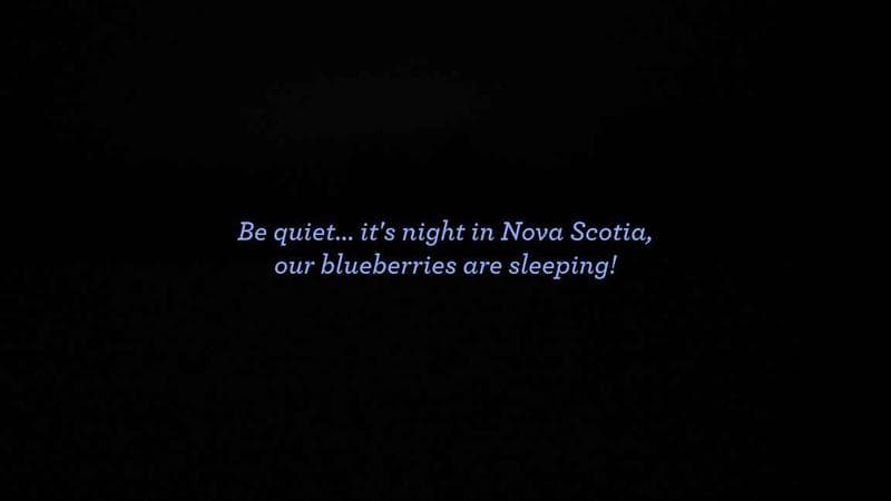 Wild Blueberry Cam 1