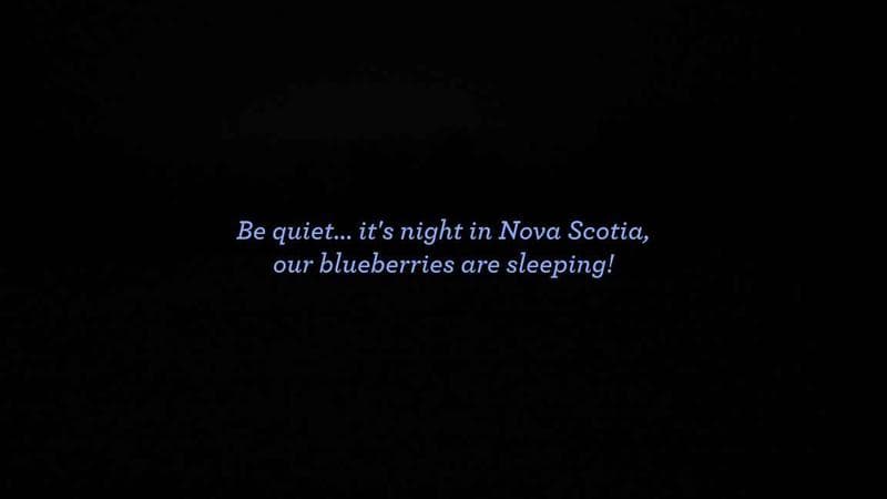 Wild Blueberry Cam 1