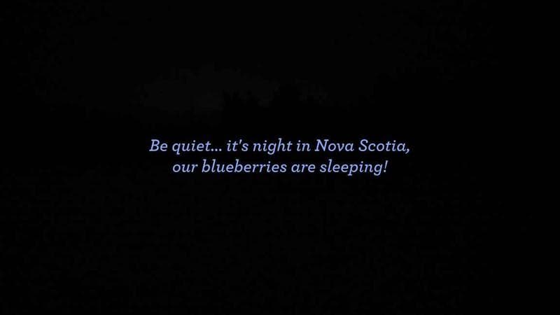 Wild Blueberry Cam 1