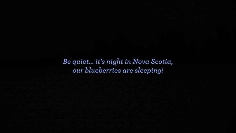 Wild Blueberry Cam 1